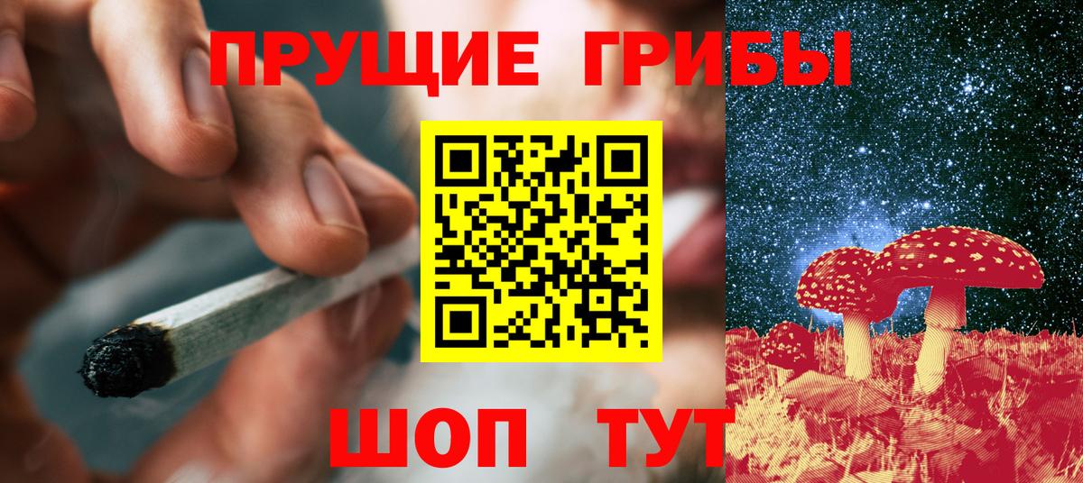 Сальск  закладки  Вход с VPN  Галлюциногенные грибы Psilocybe 